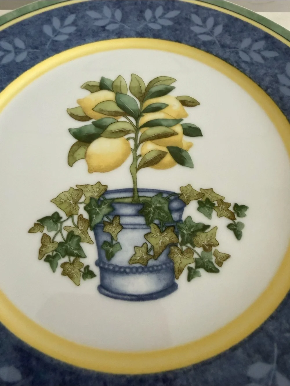 Villeroy & Boch measures 4”